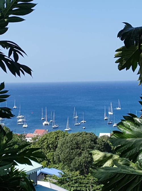 Voiliers ancrés dans les eaux turquoise des Caraïbes près de Deshaies, Guadeloupe, encadrés par la verdure tropicale