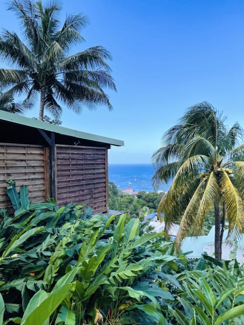 Cottage avec vue sur mer aux Hauts de Deshaies, Guadeloupe, entouré de palmiers tropicaux et de jardins luxuriants