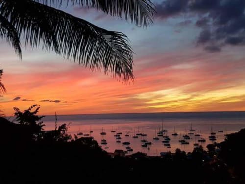 Coucher de soleil tropical sur la baie de Deshaies avec voiliers et palmes aux Hauts de Deshaies