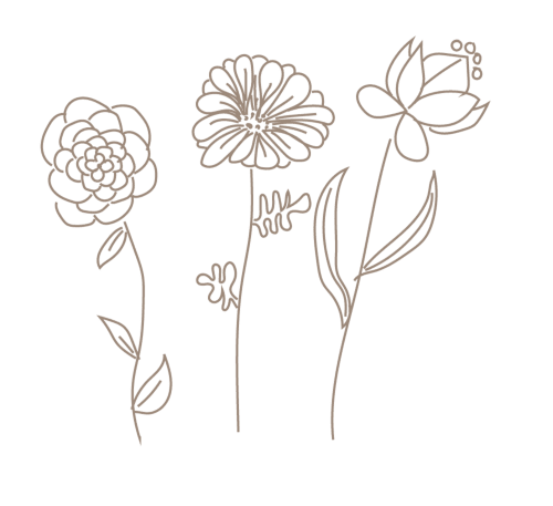 Dessin linéaire de trois fleurs délicates avec tiges et feuilles, illustration botanique pour La Maison De Siloe B&B