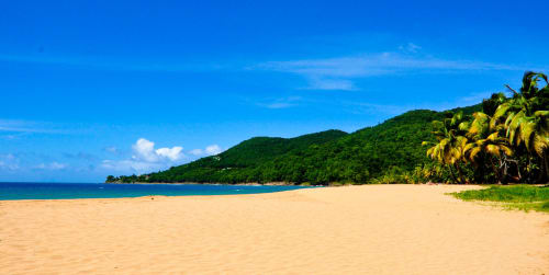 Plage de sable blanc immaculée avec eaux turquoise et versant verdoyant à Les Hauts De Deshaies, Guadeloupe