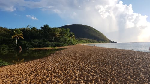 Plage de sable noir aux Hauts De Deshaies avec végétation tropicale luxuriante et montagnes en arrière-plan, Guadeloupe
