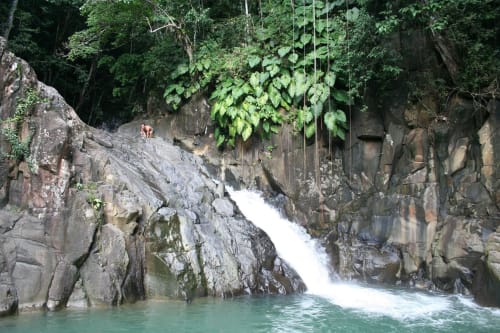 Cascade majestueuse traversant un canyon tropical aux Hauts de Deshaies, Guadeloupe