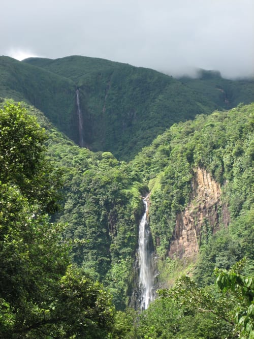 Majestueuse cascade s'écoulant à travers une vallée forestière luxuriante à Deshaies, Guadeloupe