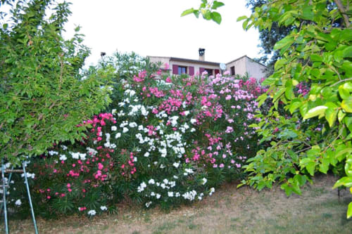Le Domaine de Barry - Maison d'hôtes - Bollène - Provence - Jardin fleuri