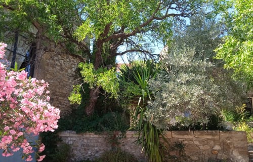 Lush garden at Mas des Artistes in Mouriès with pink flowers, ancient trees, and stone walls