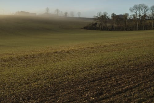 Misty morning view of rolling fields near La Guirtelle B&B in Lainsecq, France with bare trees and rural farmland
