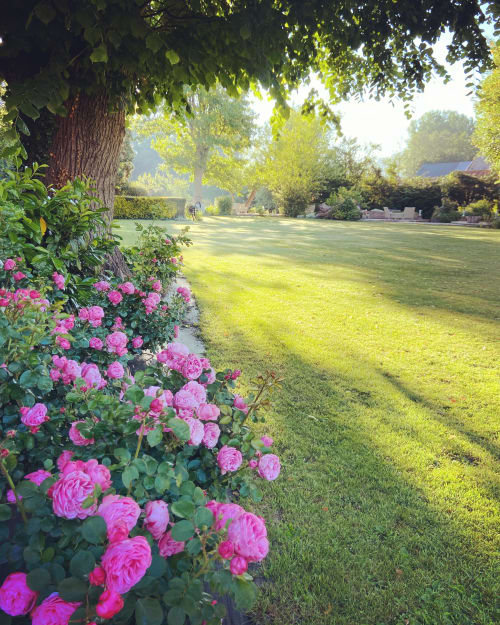 Hôtel, Restaurant, Le Clos Normand, Parc, Dieppe, Martin-Eglise, Normandie, Seine-Maritime, restaurant gastronomique, séjour normand, côtes normandes, Parc, Fleurs, rivière, terrasse, salle réception, mariage