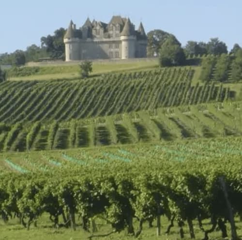 maison d'hotes Perigord Perigueux Agonac - chambres d'hotes et gites à louer - Domaine de Labrousse - 