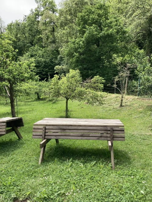 Mesa de picnic de madera sobre césped con vistas al huerto y bosque en Casa Lafuente, Lukiano, Araba