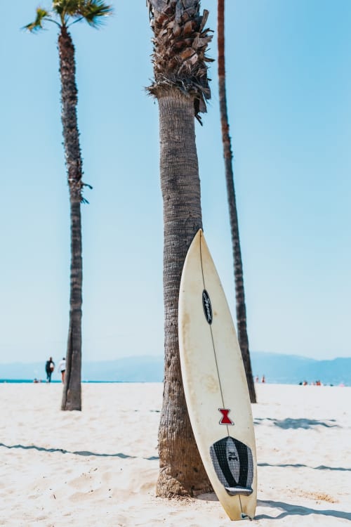 Planche de surf appuyée contre un palmier sur la plage de la Résidence Les 2 Moulins, Guadeloupe