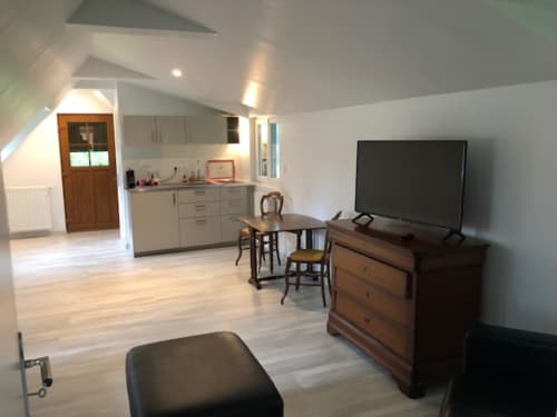 Modern open-plan studio at Clos Céleste with kitchenette, dining area, flat-screen TV, and wooden furnishings in Ecrainville,