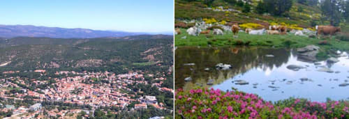 Vue aérienne du village de Vernet-les-Bains et paysage pastoral avec fleurs en fleur et ruisseau aux Gîtes Les2lions