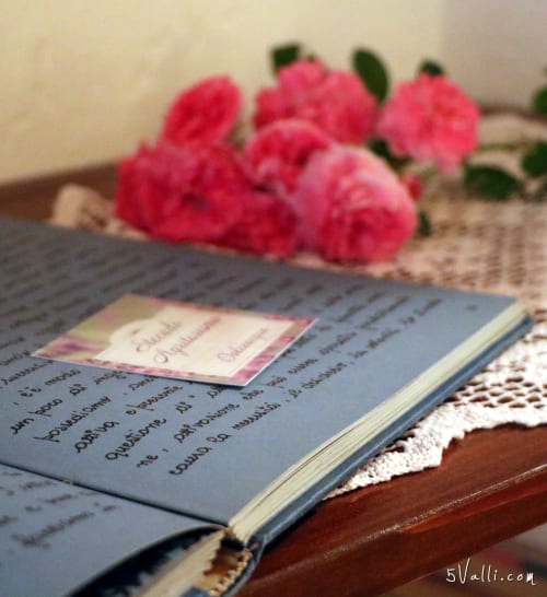 Journal ouvert avec texte manuscrit à côté de roses d'Inde roses à l'Appartement Casté d'Agritursimo Stecadò, Dolceacqua