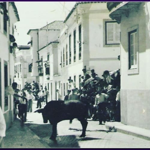 Cena tradicional da rua na Pátio da Villa em Coruche, Portugal com edifícios brancos e festival local de touros
