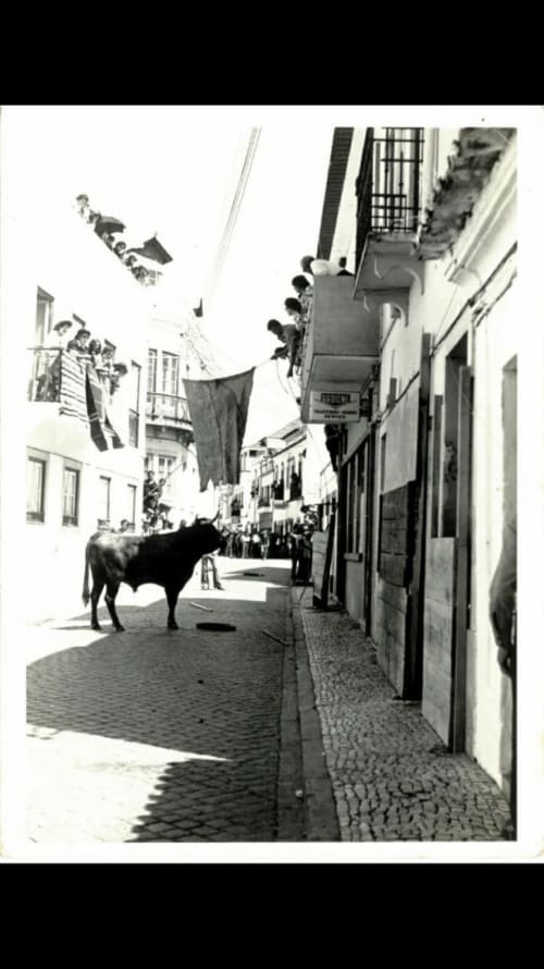 Cena da festa de touros na rua de Coruche, Portugal, com arquitetura tradicional e espectadores no Pátio da Vila