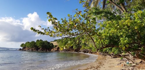 Plage tropicale de la Villa Tourmaline, Le Lorrain, Martinique avec rivage sablonneux, eau turquoise et végétation luxuriante
