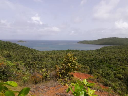 Vue côtière pittoresque de la Villa Tourmaline au Lorrain, Martinique, avec forêt tropicale luxuriante et eaux bleues de la baie