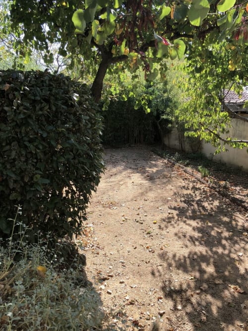 Allée ombragée du gîte Campagne d'Albert à Marseille, bordée de verdure luxuriante et d'arbres