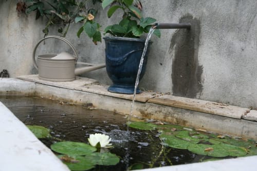 Fontaine d'eau avec bassin de nénuphars à la maison d'hôtes Campagne d'Albert à Marseille, France