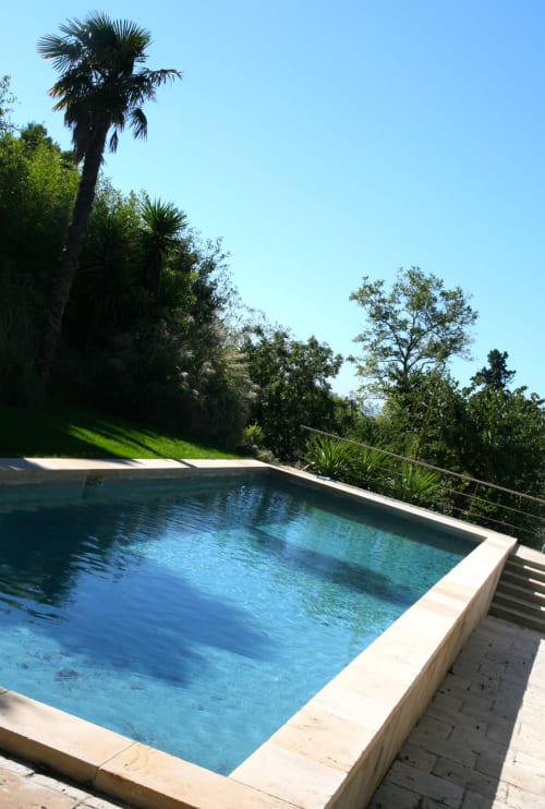 Piscine du gîte Campagne d'Albert à Marseille avec palmiers et vue sur le jardin méditerranéen