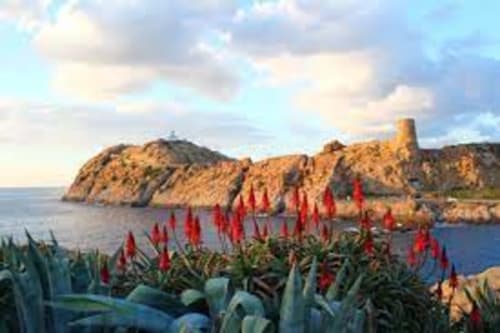 Fleurs rouges surplombant les falaises rocheuses côtières de la Résidence Lésia à Corbara, France