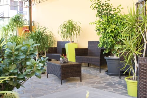 Zone de détente luxuriante à Affittacamere Al Mare à Torre Grande avec mobilier en rotin et plantes tropicales