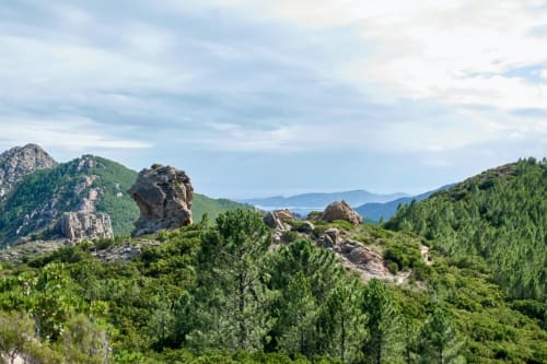 Pics rocheux des montagnes et forêts de pins près de la Résidence Lésia à Corbara, France