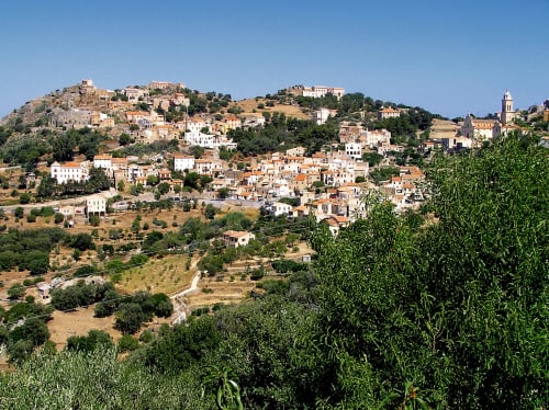 Village de Corbara perché sur les collines avec ses bâtiments en terre cuite entourés de verdure et d'oliviers