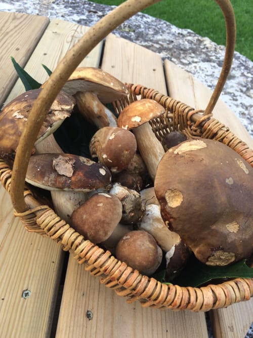 Panier en osier de champignons frais au Sous Les Marronniers, Petit Palais Cornemps