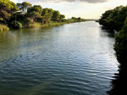 Ruhiger Fluss mit mediterranen Bäumen in der Nähe des Hotels Sa Roqueta in Can Picafort