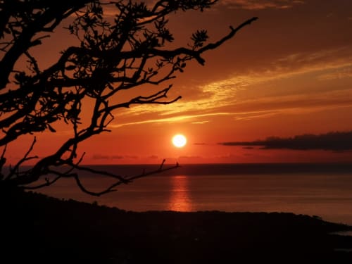 Coucher de soleil doré sur la mer avec silhouettes de branches d'arbres, Résidence Lésia, Corbara
