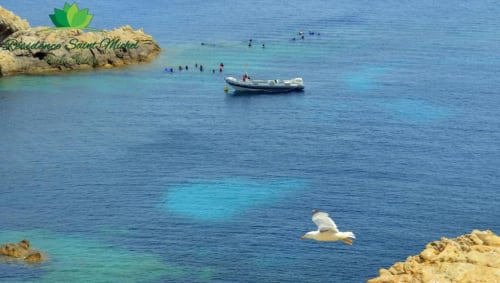 Mouette survolant les eaux turquoise méditerranéennes à L'île Rousse, Résidence Saint Michel avec bateau ancré et baigneurs