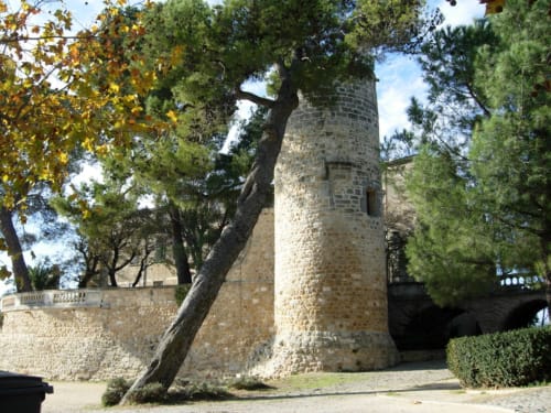 Chateau des Guilhem