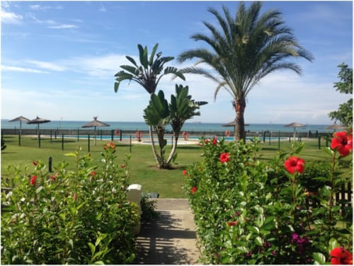 Jardín frente al mar con flores de hibisco rojo, palmeras y vistas al océano en Wehost Costaluz, Puerto Santa María