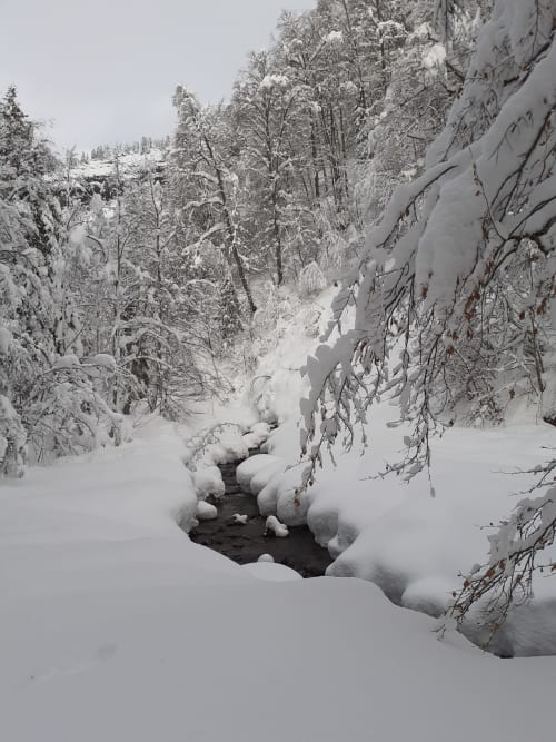 Ruisseau forestier enneigé près du Chalet Les Arcosses à La Giettaz, avec sapins givrés