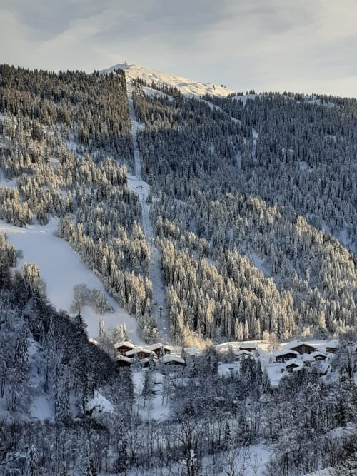 Chalet enneigé niché dans une vallée forestière enneigée, Alpes de La Giettaz avec pistes de ski visibles