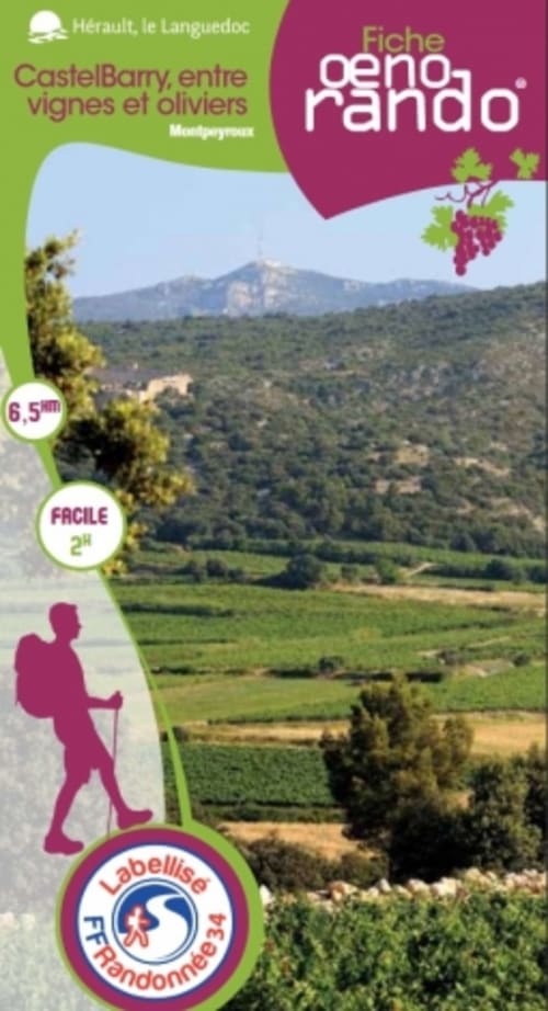 Oenorando - CastelBarry, entre vignes et oliviers