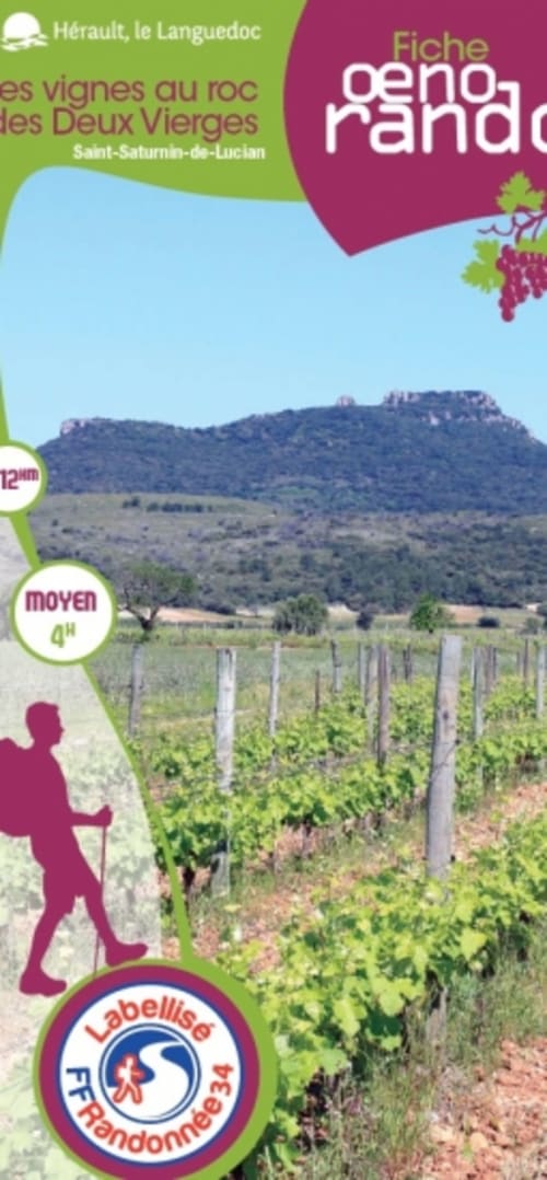 Randonnée, des vignes au roc des deux vierges