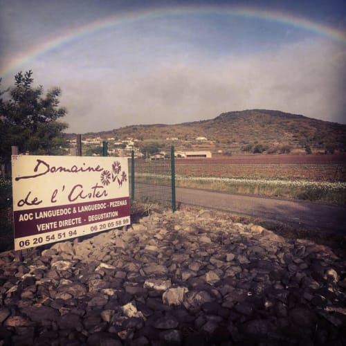 Domaine de l'Aster