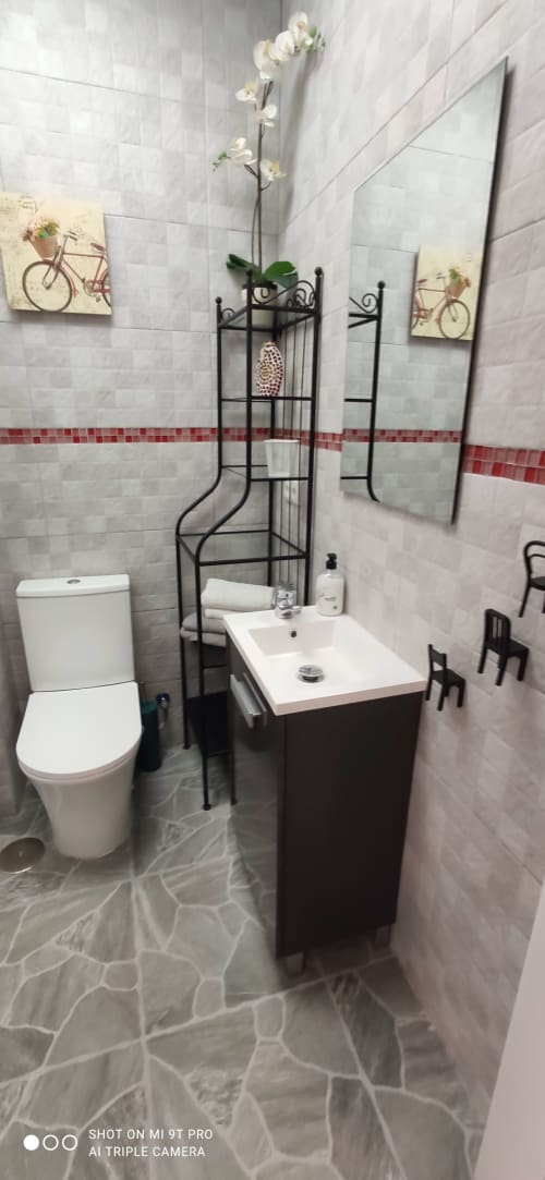 Baño moderno en Apartamentos Huelintown en Málaga con lavabo blanco, inodoro y estante decorativo con plantas