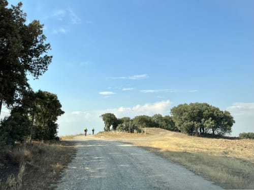 Restaurante Venta de la Miel - Hostal la Colmena | Ávila