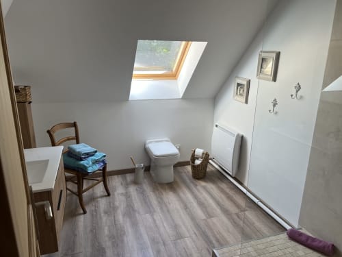 Helles Dachbadezimmer im Studio Château Ségot in Neuilly-le-Réal mit Toilette, Dachfenster, Holzboden und modernem Design