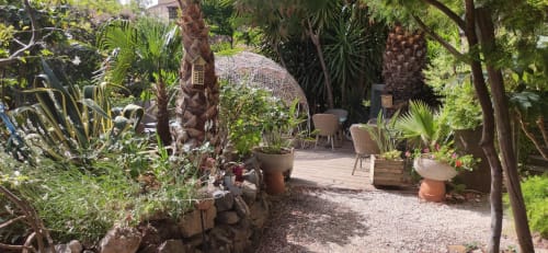 Maison d'hôtes Coeur d'hérault - Jardin