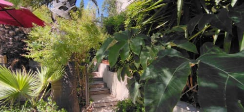 Maison d'hôtes Coeur d'hérault - Jardin