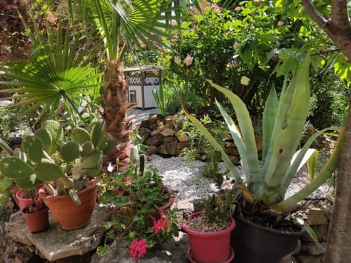 Maison d'hôtes Coeur d'hérault - Jardin