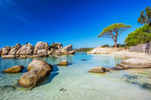Insenatura di spiaggia incontaminata con massi di granito, acqua turchese e pini alle Villas Lantana a Lecci