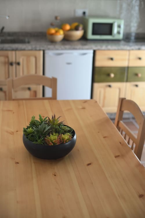 Succulent plant in black bowl on wooden dining table in Pinsapar apartment kitchen, Grazalema