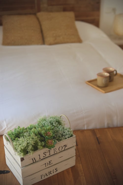 Bedroom detail at La Casa De La Abuela Regina showing white bedding, decorative succulent plant in wooden Bistrot crate, and