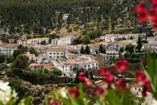 Grazalema village aerial view with white buildings, red flowers foreground, pine forests and rolling hills in Cádiz, Spain